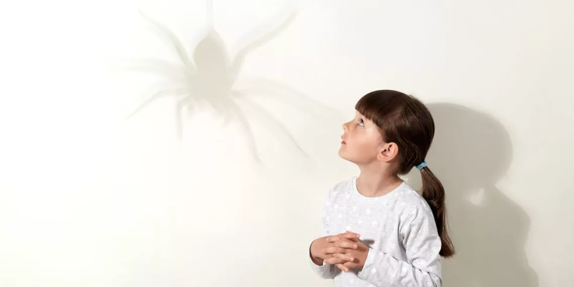 sonho aranha 1