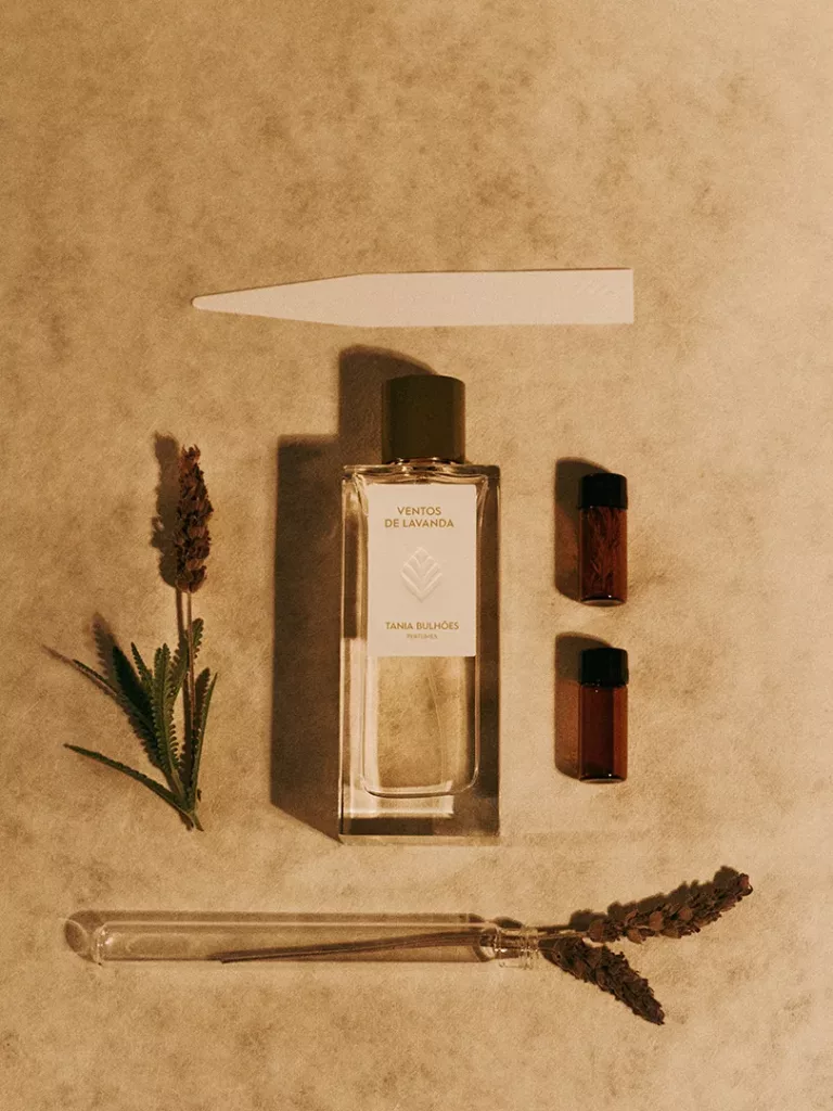 ventos lavanda tania