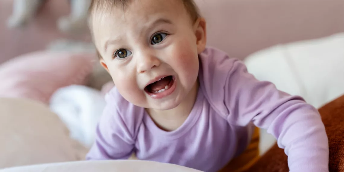 bebe dentinho