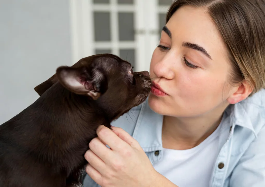 pet ciume 1 - Dicas para deixar seu pet mais calmo na volta à rotina após o fim de semana