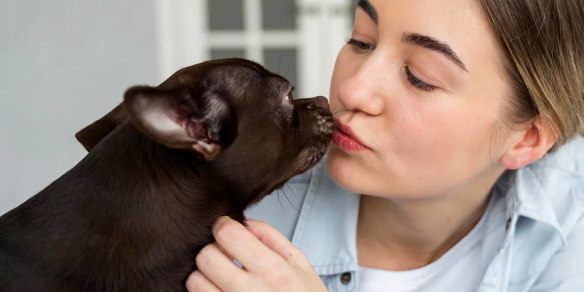pet ciume 1 - Meu pet também sente ciúmes? Veja como identificar e lidar com isso