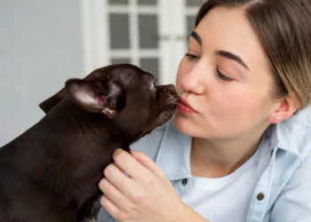 pet ciume 1 - Meu pet também sente ciúmes? Veja como identificar e lidar com isso