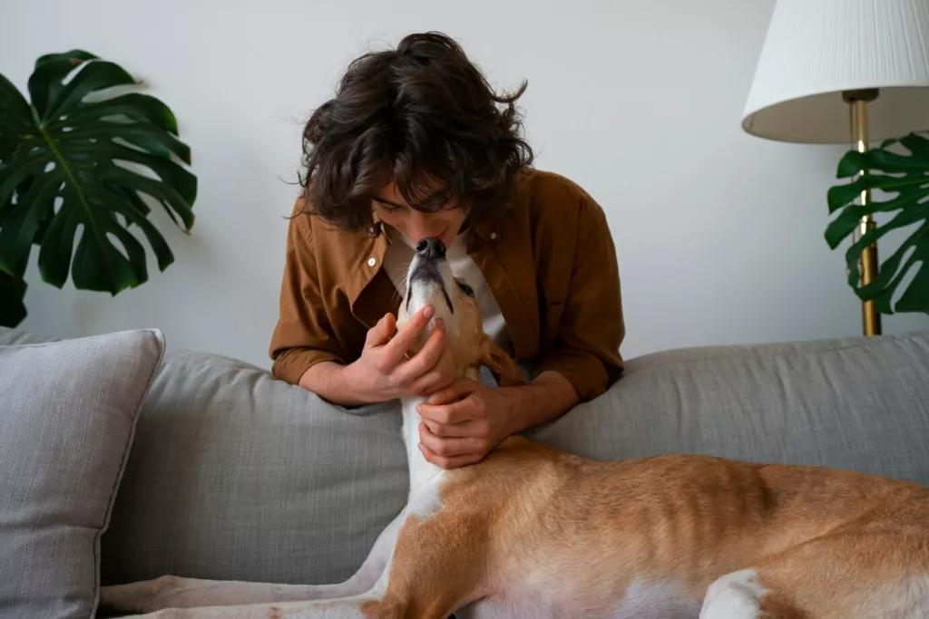 pet ciume 2 - Meu pet também sente ciúmes? Veja como identificar e lidar com isso