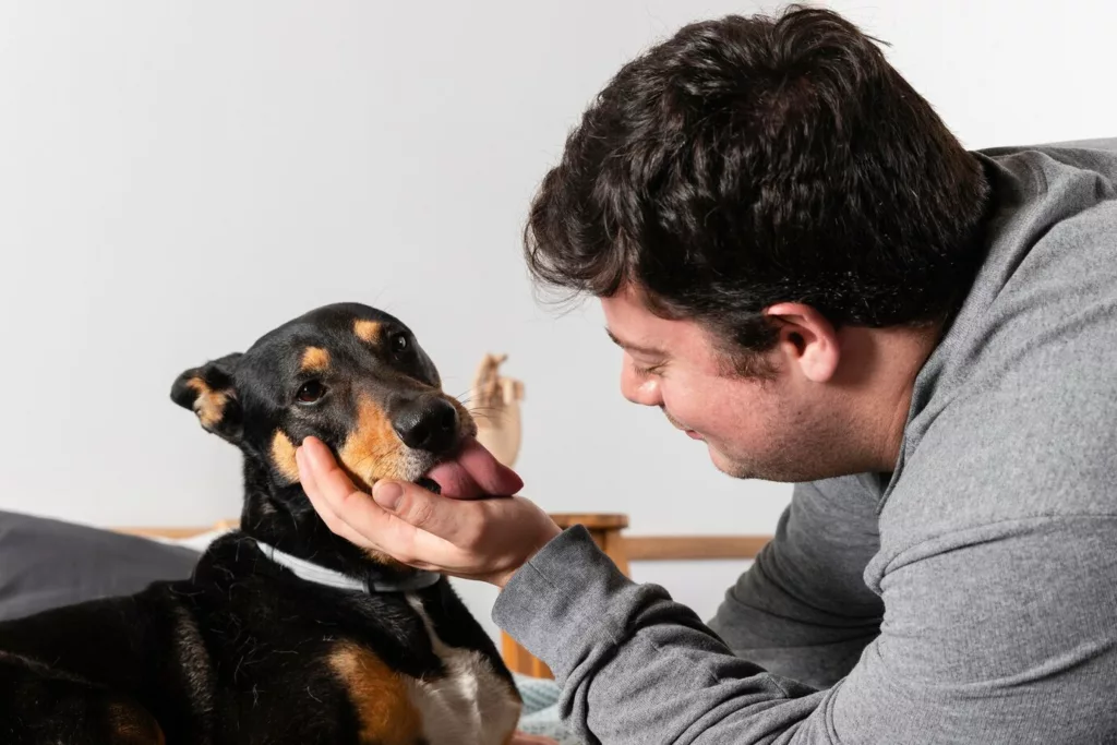 pet ciume 3 - Meu pet também sente ciúmes? Veja como identificar e lidar com isso
