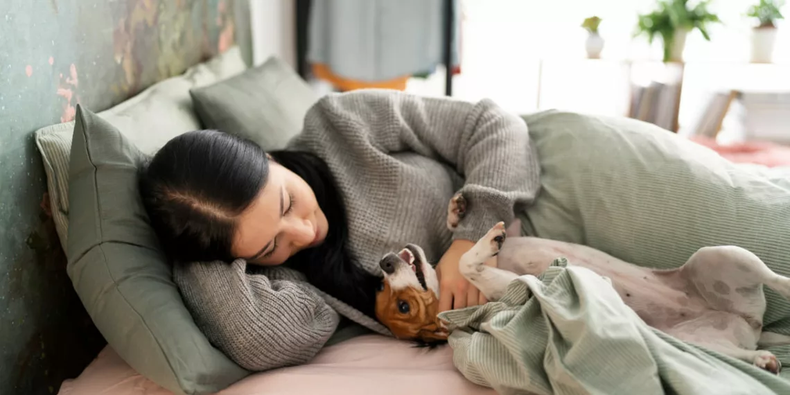pet dormir cama 1 - O que estudos dizem sobre quem deixa o pet dormir na cama